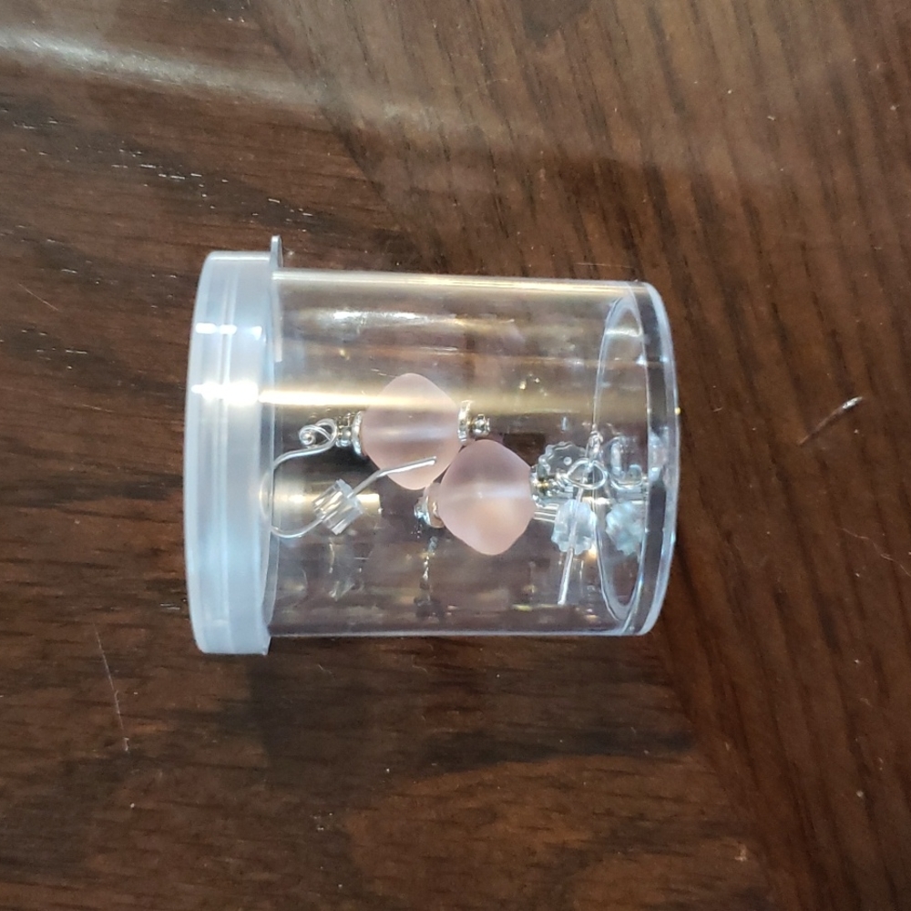 nwt earrings